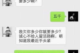 波密贷款清欠服务