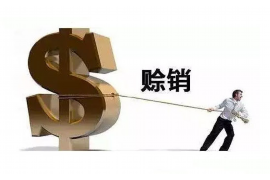 波密融资清欠服务